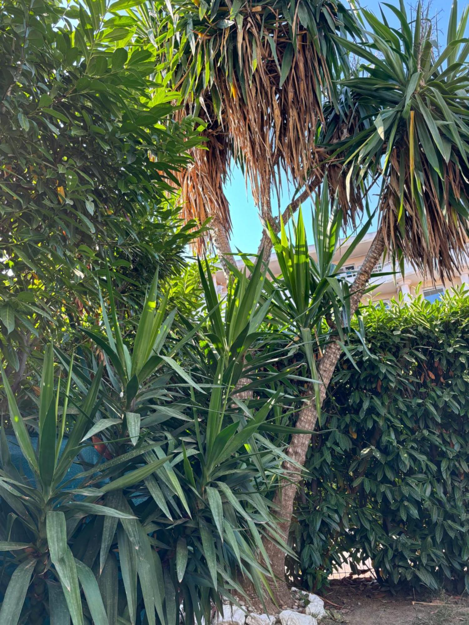 Beachside Apartment With Pool & Garden In Juan Les Pins Antibes Exterior foto